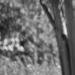 20121111_169.jpg